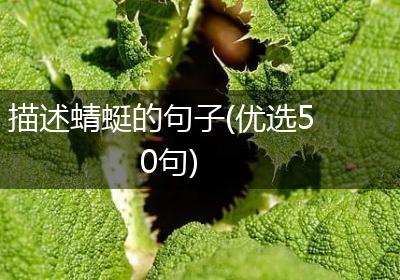 描述蜻蜓的句子(优选50句)