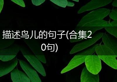 描述鸟儿的句子(合集20句)