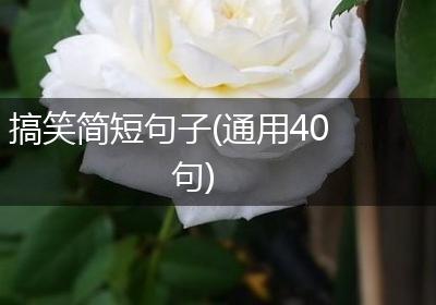 搞笑简短句子(通用40句)
