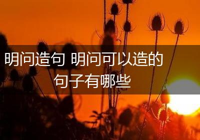 明问造句 明问可以造的句子有哪些