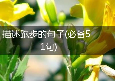 描述跑步的句子(必备51句)