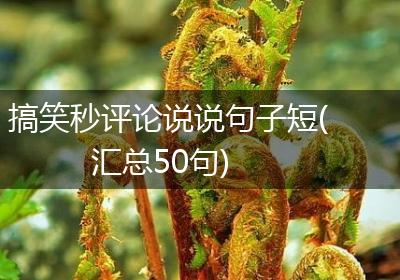 搞笑秒评论说说句子短(汇总50句)