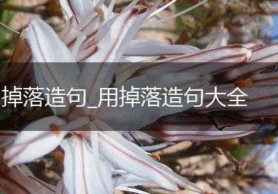 掉落造句_用掉落造句大全