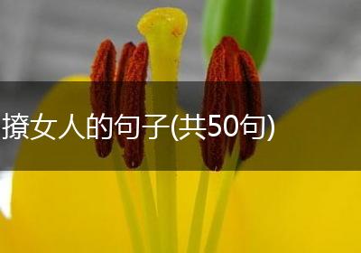 撩女人的句子(共50句)