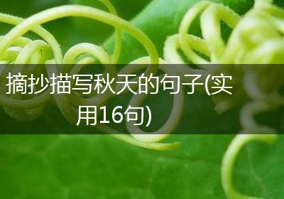 摘抄描写秋天的句子(实用16句)
