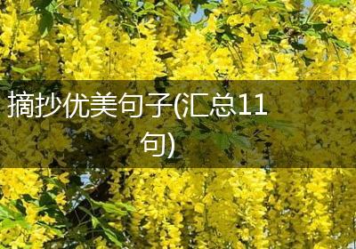 摘抄优美句子(汇总11句)