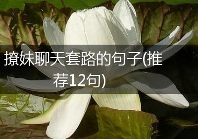 撩妹聊天套路的句子(推荐12句)