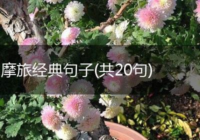摩旅经典句子(共20句)