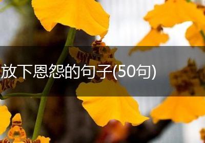 放下恩怨的句子(50句)