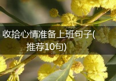 收拾心情准备上班句子(推荐10句)