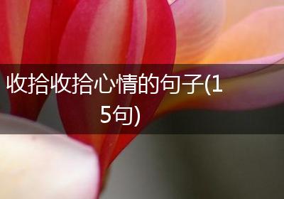 收拾收拾心情的句子(15句)