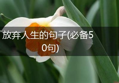 放弃人生的句子(必备50句)