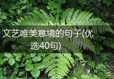 文艺唯美意境的句子(优选40句)