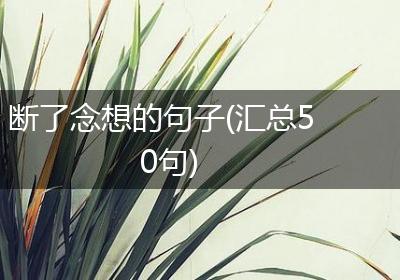断了念想的句子(汇总50句)
