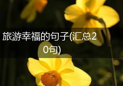 旅游幸福的句子(汇总20句)