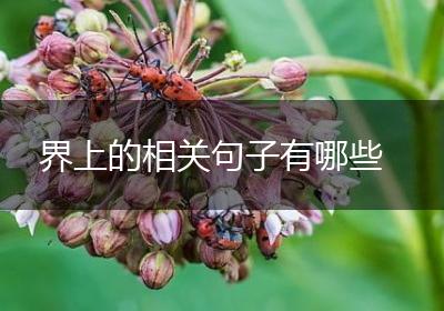 界上的相关句子有哪些