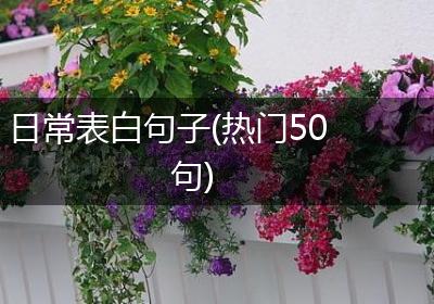 日常表白句子(热门50句)