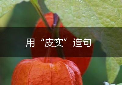 用“皮实”造句