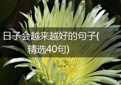 日子会越来越好的句子(精选40句)