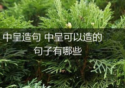 中呈造句 中呈可以造的句子有哪些