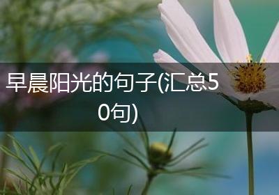 早晨阳光的句子(汇总50句)