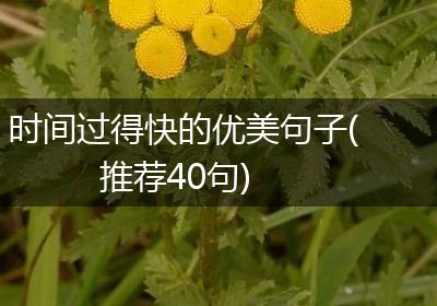 时间过得快的优美句子(推荐40句)