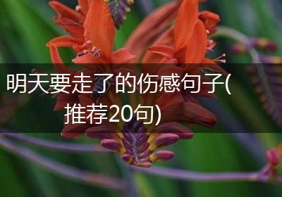 明天要走了的伤感句子(推荐20句)