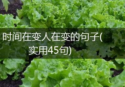 时间在变人在变的句子(实用45句)