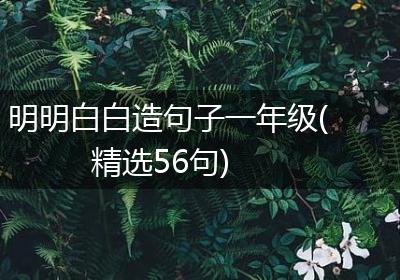 明明白白造句子一年级(精选56句)