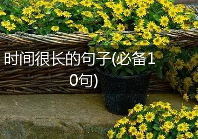 时间很长的句子(必备10句)