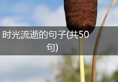 时光流逝的句子(共50句)