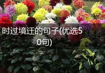 时过境迁的句子(优选50句)