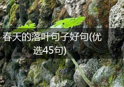 春天的落叶句子好句(优选45句)
