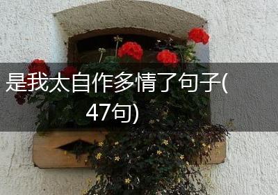 是我太自作多情了句子(47句)
