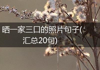 晒一家三口的照片句子(汇总20句)