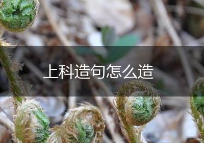 上科造句怎么造