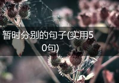 暂时分别的句子(实用50句)