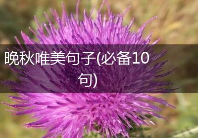 晚秋唯美句子(必备10句)
