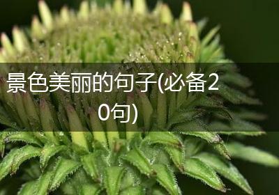景色美丽的句子(必备20句)