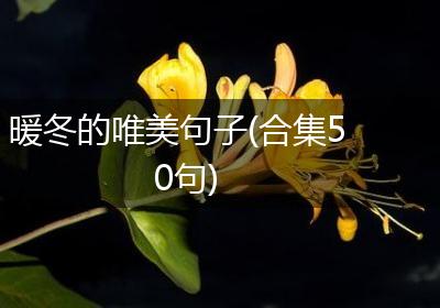 暖冬的唯美句子(合集50句)