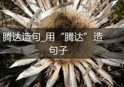 腾达造句_用“腾达”造句子
