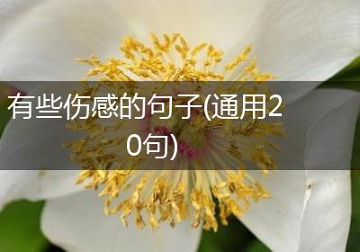 有些伤感的句子(通用20句)