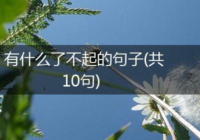 有什么了不起的句子(共10句)
