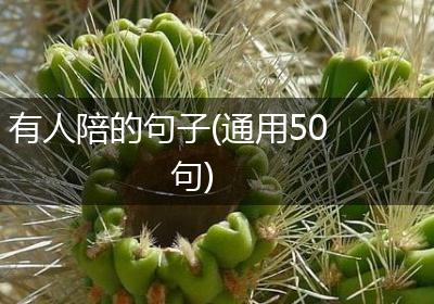 有人陪的句子(通用50句)