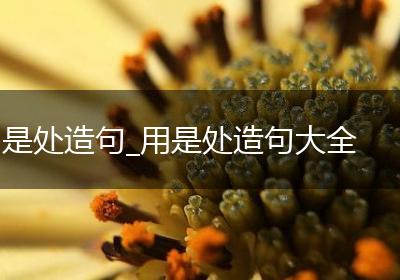 是处造句_用是处造句大全