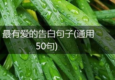 最有爱的告白句子(通用50句)