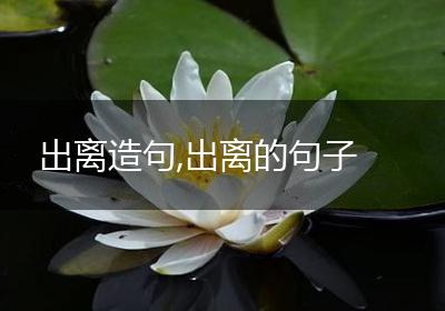 出离造句,出离的句子