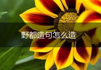 野都造句怎么造