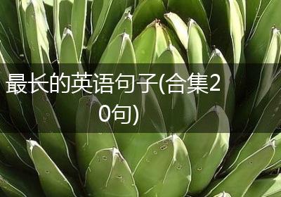 最长的英语句子(合集20句)