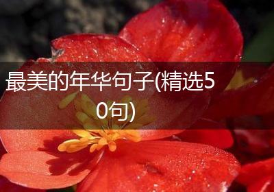 最美的年华句子(精选50句)